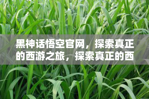 探索真正的西游之旅图片