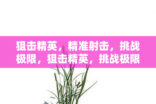 狙击精英，精准射击，挑战极限，狙击精英，挑战极限，精准射击