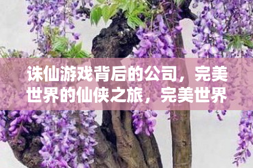 诛仙游戏背后的公司,完美世界的仙侠之旅,完美世界,仙侠之旅背后的游戏巨头 诛仙游戏背后的公司,完美世界的仙侠之旅,完美世界,仙侠之旅背后的游戏巨头
