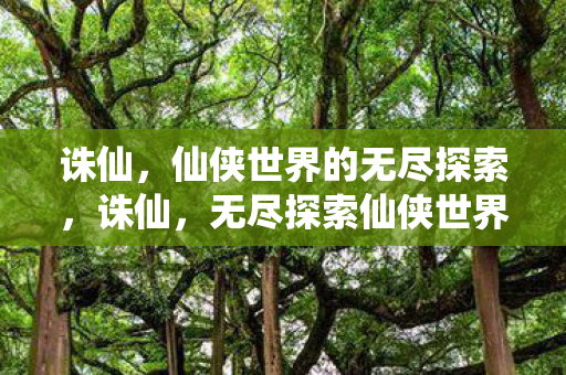 无尽探索仙侠世界的奇幻之旅图片