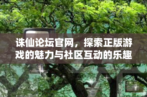 探索正版游戏的魅力与社区互动的乐趣图片