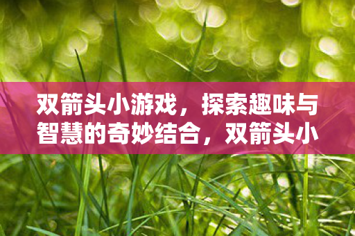 双箭头小游戏,探索趣味与智慧的奇妙结合,双箭头小游戏,探索趣味与智慧的奇妙结合 双箭头小游戏,探索趣味与智慧的奇妙结合,双箭头小游戏,探索趣味与智慧的奇妙结合