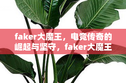 faker大魔王，电竞传奇的崛起与坚守，faker大魔王，电竞传奇的崛起与坚守