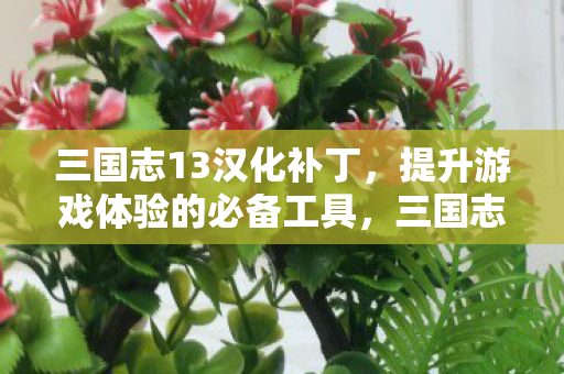 三国志13汉化补丁,提升游戏体验的必备工具,三国志13汉化补丁,提升游戏体验的必备工具 三国志13汉化补丁,提升游戏体验的必备工具,三国志13汉化补丁,提升游戏体验的必备工具