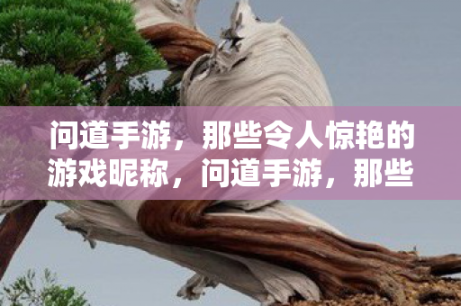 那些令人拍案叫绝的游戏昵称盘点图片