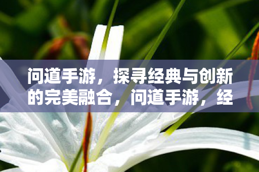 探寻经典与创新的完美融合图片