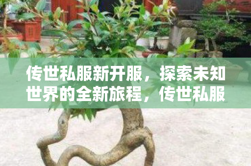 探索未知世界的全新旅程图片