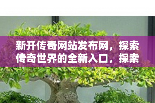 探索传奇世界的全新入口图片