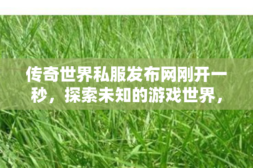 传奇世界私服发布网刚开一秒图片