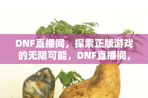 探索正版游戏的无限可能图片