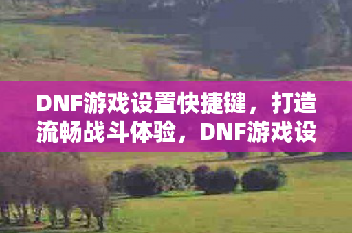 DNF游戏设置快捷键图片