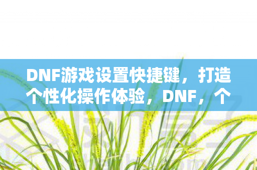 DNF游戏设置快捷键图片