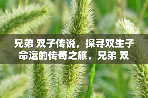 兄弟 双子传说，探寻双生子命运的传奇之旅，兄弟 双子传说，探寻双生子命运的传奇之旅