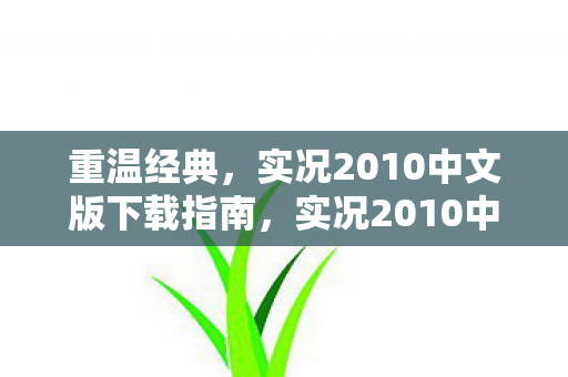 重温经典，实况2010中文版下载指南，实况2010中文版下载指南，重温经典足球游戏