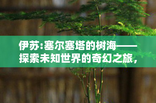 伊苏:塞尔塞塔的树海——探索未知世界的奇幻之旅，伊苏:塞尔塞塔的树海，奇幻之旅探索未知世界