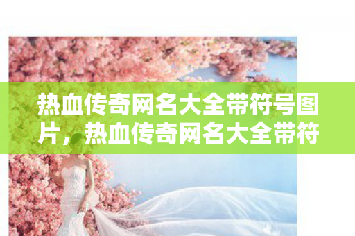 热血传奇网名大全带符号图片图片