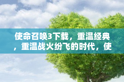 使命召唤3下载,重温经典,重温战火纷飞的时代,使命召唤3,重温战火纷飞的时代,经典再现 使命召唤3下载,重温经典,重温战火纷飞的时代,使命召唤3,重温战火纷飞的时代,经典再现