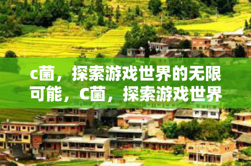 c菌，探索游戏世界的无限可能，C菌，探索游戏世界的无限可能