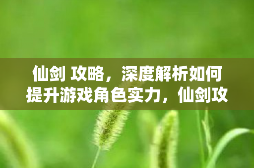 仙剑 攻略,深度解析如何提升游戏角色实力,仙剑攻略,提升角色实力的深度解析 仙剑 攻略,深度解析如何提升游戏角色实力,仙剑攻略,提升角色实力的深度解析
