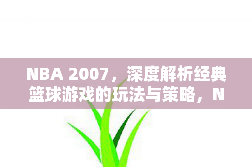 NBA 2007，深度解析经典篮球游戏的玩法与策略，NBA 2007，经典篮球游戏的玩法与策略深度解析