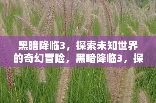 黑暗降临3，探索未知世界的奇幻冒险，黑暗降临3，探索未知世界的奇幻冒险之旅
