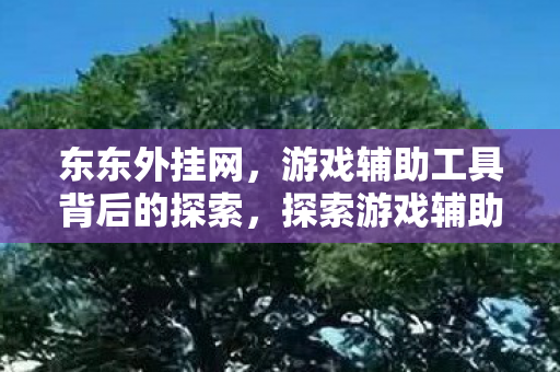东东外挂网,游戏辅助工具背后的探索,探索游戏辅助工具背后的秘密,东东外挂网揭秘 东东外挂网,游戏辅助工具背后的探索,探索游戏辅助工具背后的秘密,东东外挂网揭秘