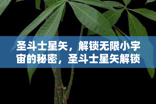 圣斗士星矢，解锁无限小宇宙的秘密，圣斗士星矢解锁无限小宇宙的秘密