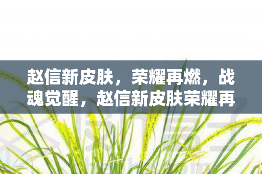 赵信新皮肤,荣耀再燃,战魂觉醒,赵信新皮肤荣耀再燃,战魂觉醒 赵信新皮肤,荣耀再燃,战魂觉醒,赵信新皮肤荣耀再燃,战魂觉醒