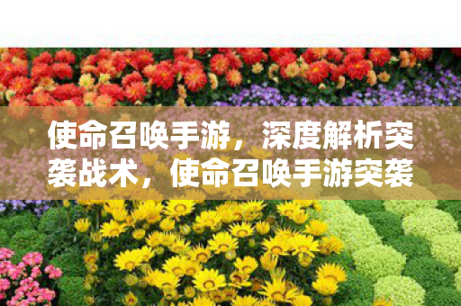 使命召唤手游,深度解析突袭战术,使命召唤手游突袭战术深度解析 使命召唤手游,深度解析突袭战术,使命召唤手游突袭战术深度解析