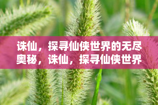 探寻仙侠世界的无尽奥秘图片