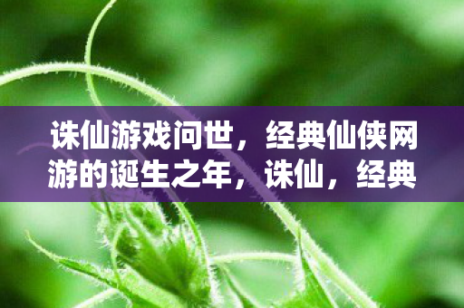 经典仙侠网游的诞生之年图片