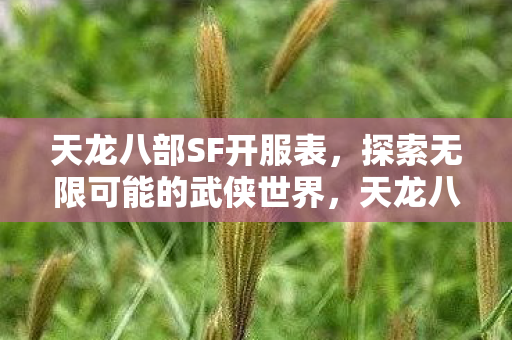 天龙八部SF开服表,探索无限可能的武侠世界,天龙八部SF全新开服表,探索无限武侠世界 天龙八部SF开服表,探索无限可能的武侠世界,天龙八部SF全新开服表,探索无限武侠世界