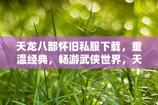 天龙八部怀旧私服下载图片