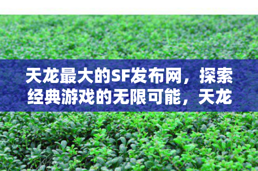 天龙最大的SF发布网,探索经典游戏的无限可能,天龙最大的SF发布网,探索经典游戏的无限可能 天龙最大的SF发布网,探索经典游戏的无限可能,天龙最大的SF发布网,探索经典游戏的无限可能