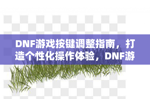 DNF游戏按键调整全攻略图片