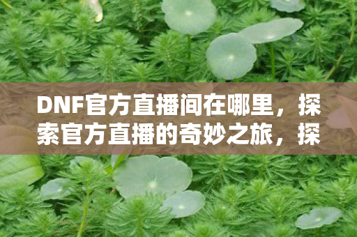 探索DNF官方直播间的奇妙之旅图片