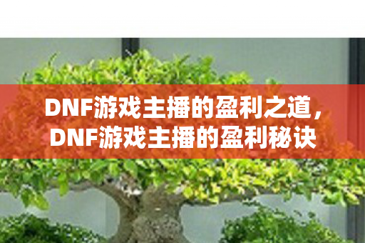 DNF游戏主播的盈利之道图片