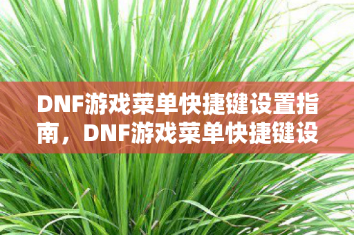 DNF游戏菜单快捷键设置全攻略图片