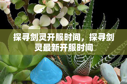 探寻剑灵最新开服时间图片