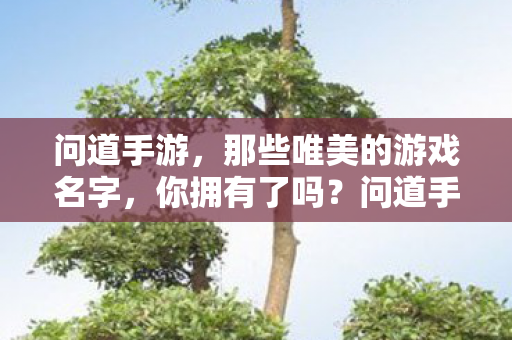 那些令人心动的唯美游戏名字图片