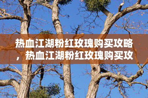 热血江湖粉红玫瑰购买攻略图片