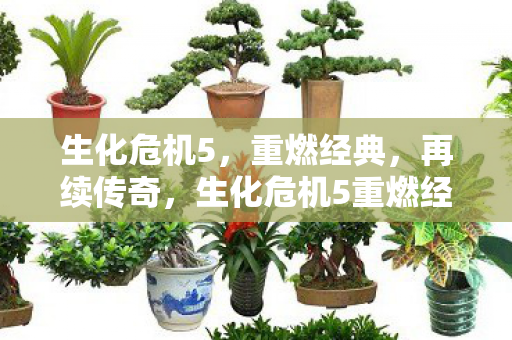 生化危机5,重燃经典,再续传奇,生化危机5重燃经典 再续传奇 生化危机5,重燃经典,再续传奇,生化危机5重燃经典 再续传奇