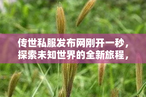 传世私服发布网刚开一秒图片