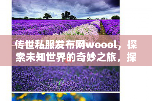 传世私服发布网woool图片