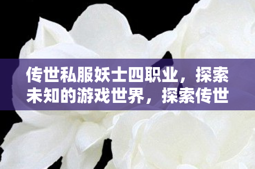 探索传世私服妖士四职业图片