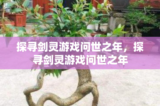 探寻剑灵游戏问世之年图片