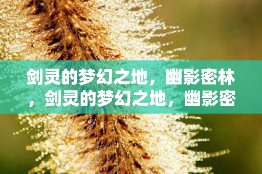 幽影密林的神秘探险图片
