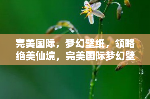 完美国际梦幻壁纸图片