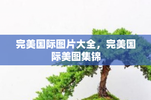 完美国际图片大全图片