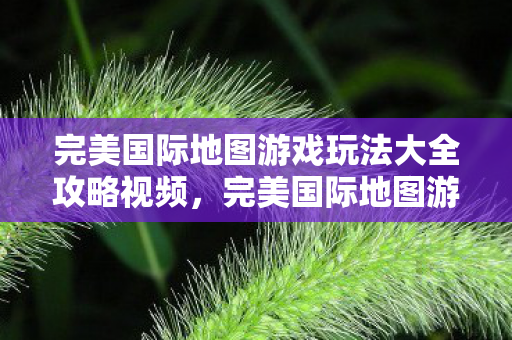 完美国际地图游戏玩法大全攻略视频图片
